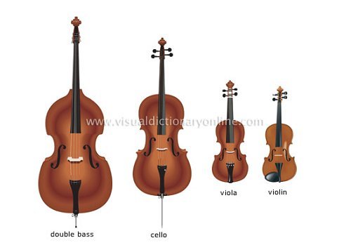 String family instruments orchestra