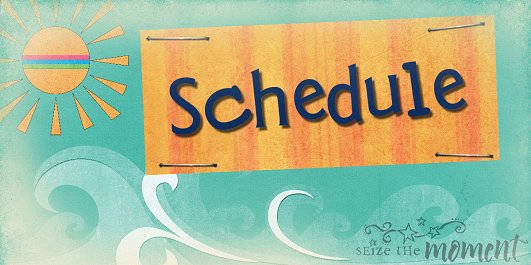 daily schedule brenda sannes
