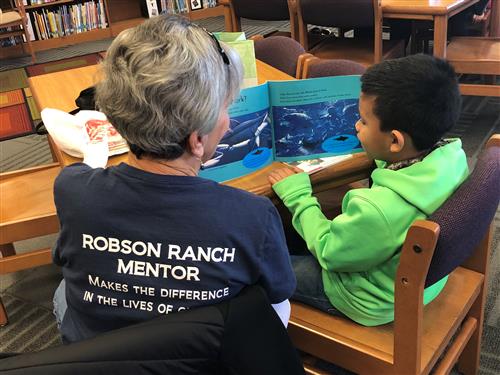 Robson Ranch Mentor 
