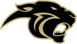 panther 
