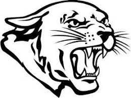 cougar 