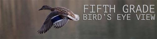 fifth 