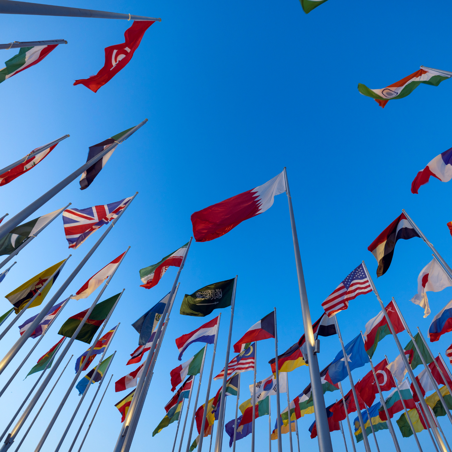 Internationally Trained Professionals