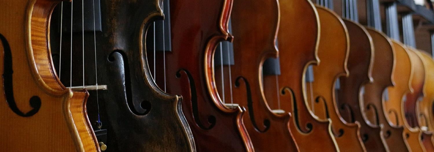 String Instruments String Instruments