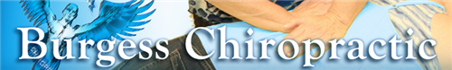 Burgess Chiropractic 