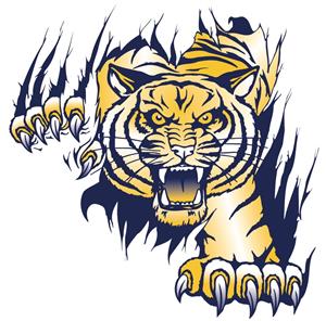 TIGERS! 