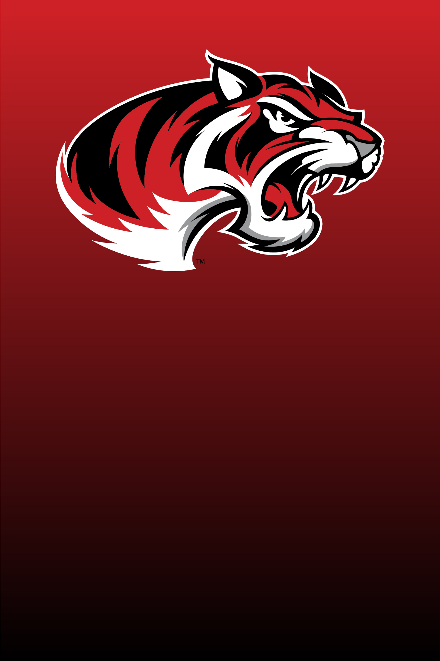 Assistant Principal