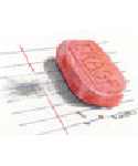 School Supplies
