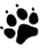paw